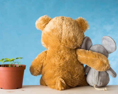 Cohabitation Reform: Added Protection for Unmarried Couples