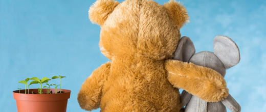 Cohabitation Agreements