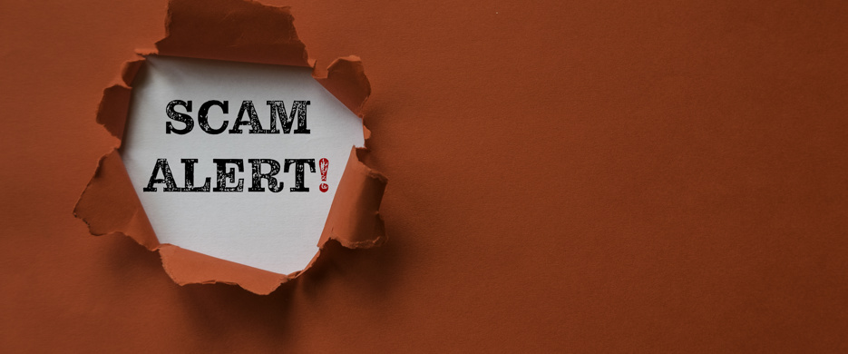 Scam Alert Icon