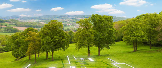 Land purchases and sales