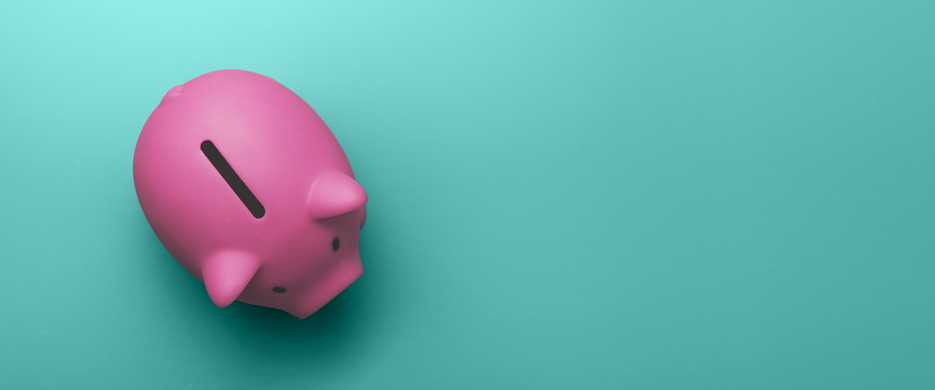 Pink Piggy Bank