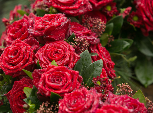 Red Wreath