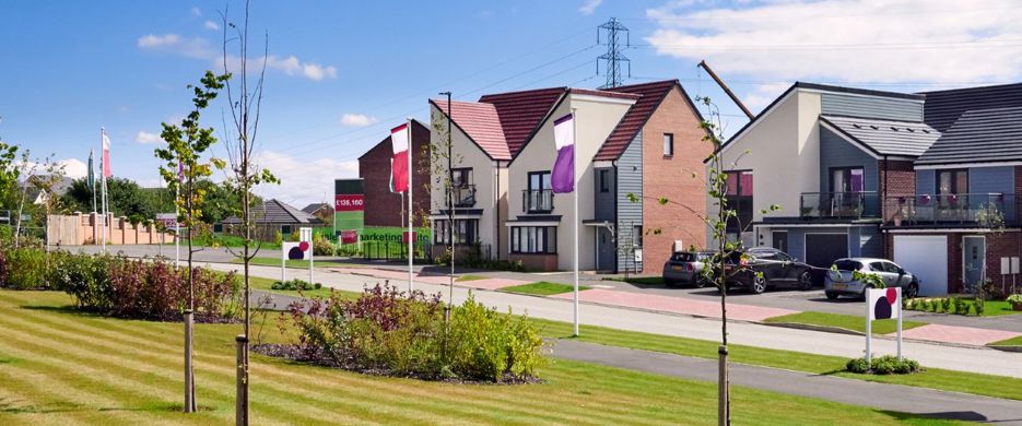 New Housing development