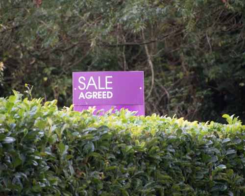 Choosing your conveyancing solicitor