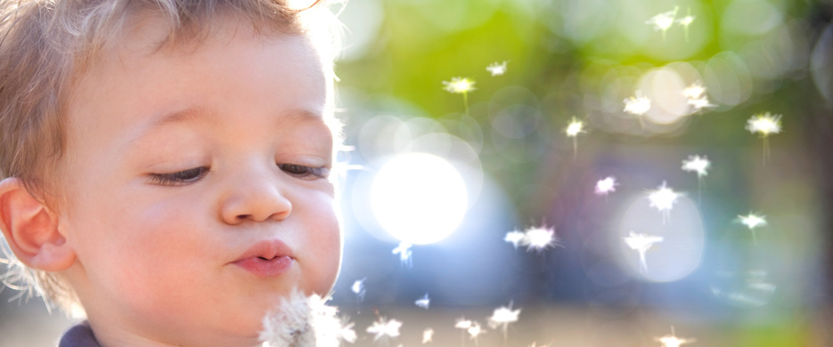 Child blowing dandelion seeds