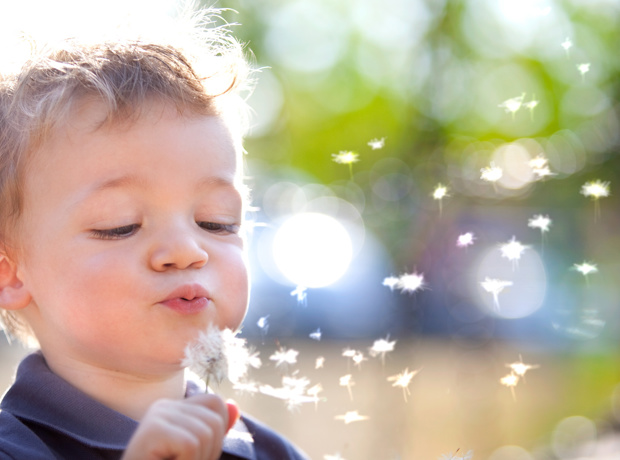 Child blowing dandelion seeds